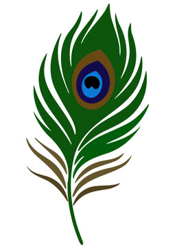 Abstract Peacock feather, krishna feather, peacock bird colorful feather art, krishna mor pankh, mor pankha, peacock bird feather illustration, peacock feather logo, icon, element, peacock feather