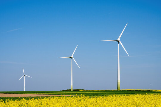 Three wind turbines with a flowering canola field seen in Germany - Powered by Adobe