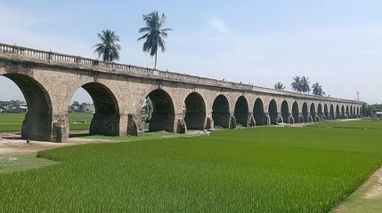 Fototapeta premium Majestic stone bridge stretching over vibrant green rice fields under a clear blue sky with swaying palm trees creating a tranquil countryside scene