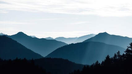 Fototapeta premium Abstract nature landscape overlay with silhouette of trees and mountains, overlay, silhouette