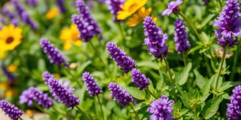 Obraz premium Close-up shot of vibrant purple flower petals and delicate leaves, vivid, vibrant, outdoors