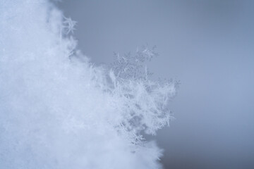 雪の結晶