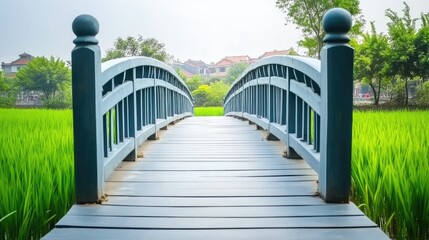 Fototapeta premium Serene Footbridge Through Lush Green Rice Fields in Tranquil Rural Landscape Captured During a Peaceful Daylight Scene
