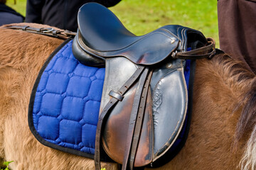 The back of a Bay horse, which is worn: saddle, saddlecloth and stirrup .