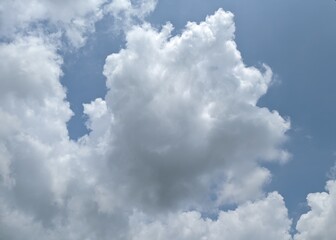 Fototapeta premium woman with all her desires