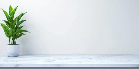 Obraz premium Minimalist plant on marble table against a white wall.