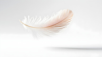 Obraz premium A light feather gently floating mid-air, symbolizing the lightness of freedom and the beauty of hope