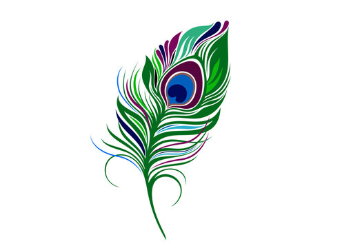 Abstract Peacock feather, krishna feather, peacock bird colorful feather art, krishna mor pankh, mor pankha, peacock bird feather illustration, peacock feather logo, icon, element, peacock feather