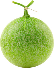 melon 