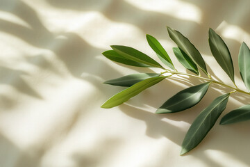 Obraz premium An olive branch resting alone on a smooth, neutral background, symbolizing peace and reconciliation