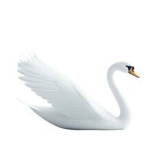 Fototapeta premium Graceful White Swan with Elegant Curved Neck and Outstretched Wings, Symbolizing Beauty, Peace, and Serenity in Nature, Isolated on a Transparent Background