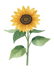 Fototapeta premium Watercolor Sunflowers Bouquet, Sunflower Clipart, Sunflower for Sublimation, Cut Files, Cricut, Invitation Decoration, Wall art, White Background