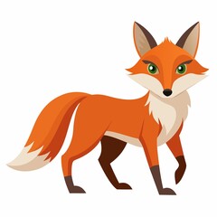 Fototapeta premium A fox stepping slowly