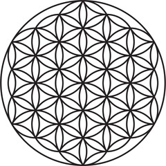 flower of life scared geometr...