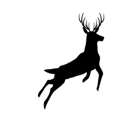 Fototapeta premium Christmas Reindeer Illustration 
