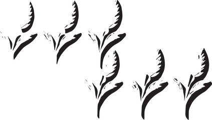 Abstract Black and White Floral Design: Stylized Plant Illustration, Botanical Art, Minimalist Graphic, Nature Inspired Artwork