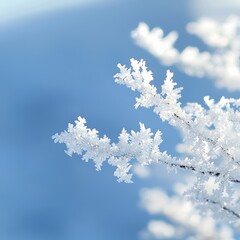 An artistic portrayal of a frosty window with carefully crafted ice crystals, highlighting the beauty of winter and creating an ethereal feel through a soft focus effect. Product photography with