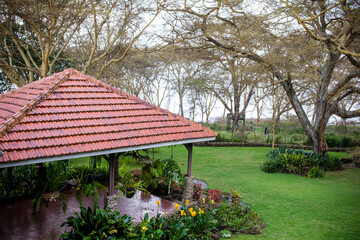 japanese garden in the garden
