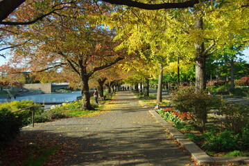 カナール（新潟市）の紅葉