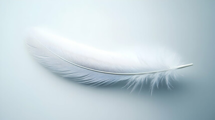 Obraz premium Single Delicate White Feather Resting Gently on a Soft Blue Background, a Serene and Peaceful Image.