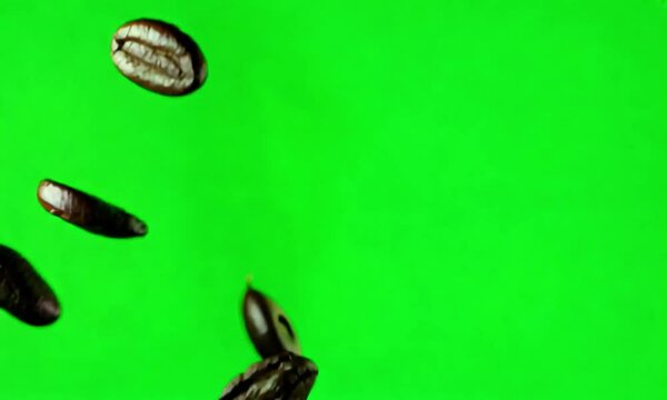Beautyful Coffee beans spinning in the air green screen with luma channal black and white.