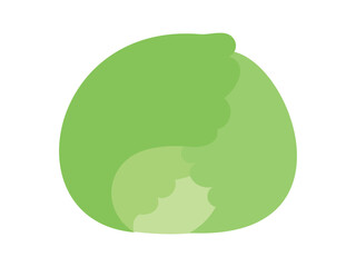 キャベツ_フラット