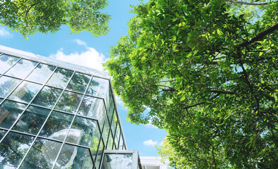 Modern glass office building with big trees around to reduce heat and carbon dioxide. Eco-friendly...