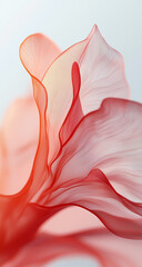 Soft Red Flower Petal with Light Pink Tones &ndash; Minimalist Design with Graceful Fluid Form and Elegant Details