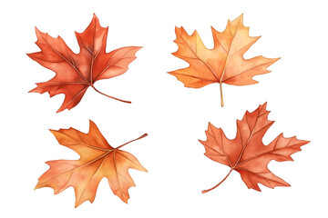 Fototapeta premium Set of fallen autumn leaves isolated on white background, cut out transparent.