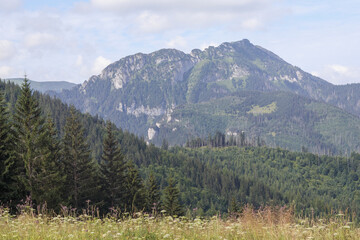  nature landscape in the mountains with trees and mountain peaks © Jorens