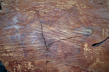 The surface of an old and cracked wood for natural background