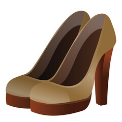 brown fashionable high-heeled shoes