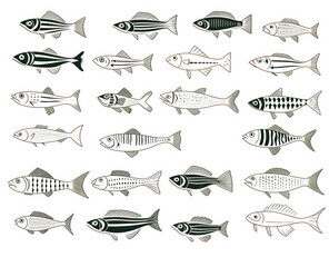 Various Illustrations of Fish Species in Black and White Style Featuring Different Shapes and Patterns for Artistic and Educational Use in Nature and Design Projects