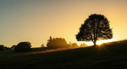 Obraz premium Serene sunset silhouette of lone tree on hillside