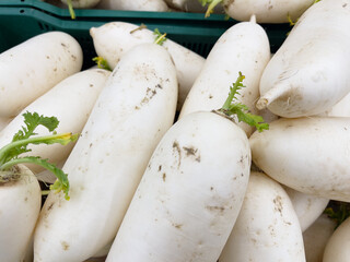 White radish with green leaves in a plastic box on the market