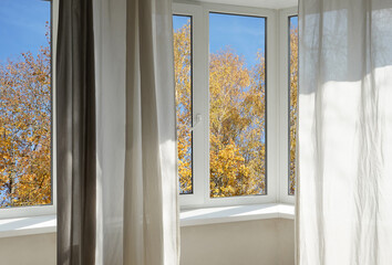 View from the window, yellow trees, landscape with forest.