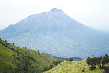 Obraz premium landscape of green merbabu mountain 