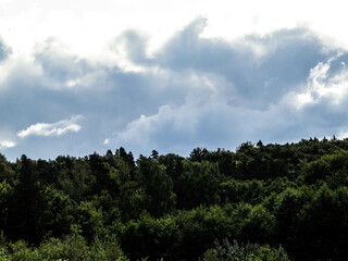 Obraz premium Cloudy sky over the forest.