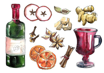 Set for mulled wine. Bottle of red wine, glass with drink and spices: orange slices, cinnamon sticks, star anise, ginger, cloves, sugar and apple. Watercolor hand-drawn illustration