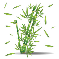 Obraz premium A group of bamboo sticks with the leaves a on it. Green Bamboo Background