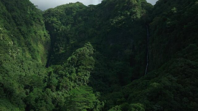 Faarumai Waterfall Falls Valley Tahiti Island French Polynesia aerial drone Vaimahuta Fall Tiarei Hitiaa watershed picturesque river cascades trees forest jungle greenery fauna backward pan up motion