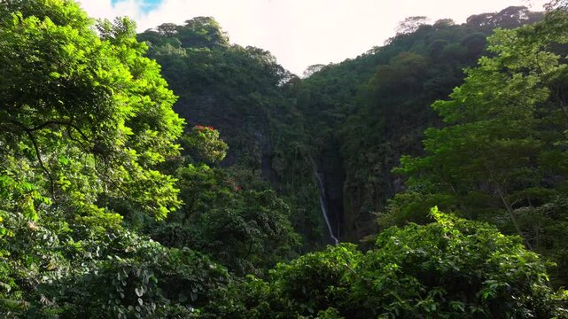 Faarumai Waterfall Falls Valley Tahiti Island French Polynesia aerial drone Vaimahuta Fall Tiarei Hitiaa watershed picturesque river cascades trees forest jungle greenery fauna sunny upward motion