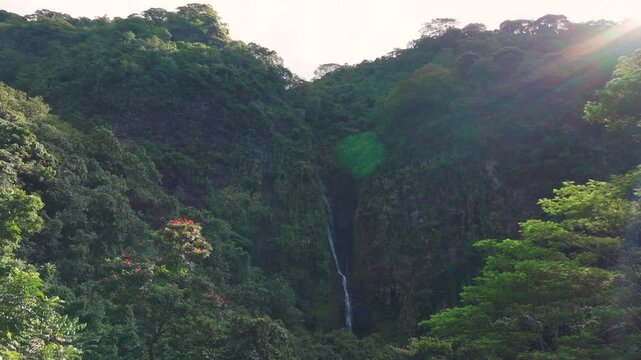 Faarumai Waterfall Falls Valley Tahiti Island French Polynesia aerial drone Vaimahuta Tiarei Hitiaa watershed picturesque river cascades trees forest jungle greenery fauna sunny red flowers upward