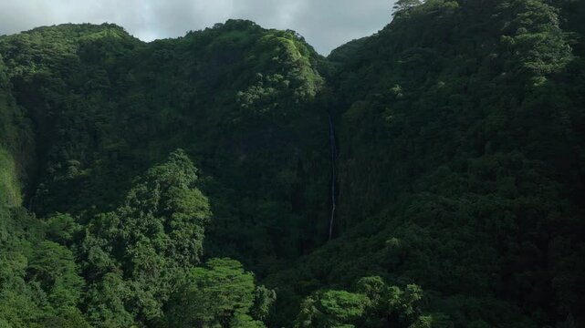 Faarumai Waterfall Falls Valley Tahiti Island French Polynesia aerial drone Vaimahuta Fall Tiarei Hitiaa watershed picturesque river cascades trees forest jungle greenery fauna forward pan up motion