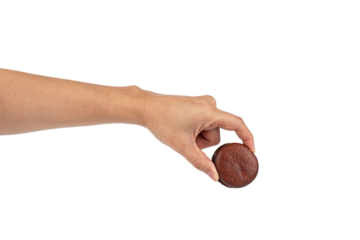 Chocolate dessert chocopie isolated on transparent background.