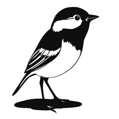 Fototapeta premium two black and white illustration of a small bird