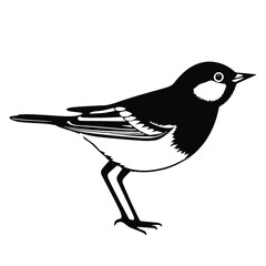 Obraz premium two black and white illustration of a small bird