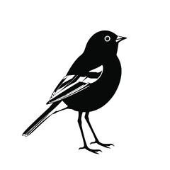 Obraz premium two black and white illustration of a small bird