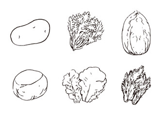 線画野菜手描きイラスト＿じゃがいも・春菊・白菜・きゃべつ・サンチュ・水菜＿白背景