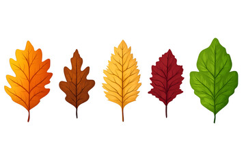 Fototapeta premium Set of fallen autumn leaves isolated on white background, cut out transparent.